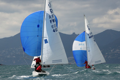 IMG_8392.jpg