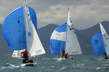 IMG_8391.jpg